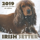 Irish Setter 2019 Mini Wall Calendar (UK Edition) - Book