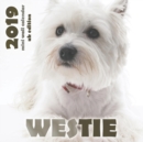 Westie 2019 Mini Wall Calendar (UK Edition) - Book