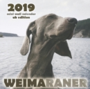 Weimaraner 2019 Mini Wall Calendar (UK Edition) - Book