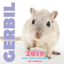 Gerbil 2019 Mini Wall Calendar (UK Edition) - Book