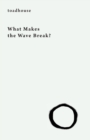 What Makes the Wave Break? - Book
