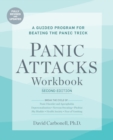 Panic Attacks Workbook: Second Edition : A Guided Program for Beating the Panic Trick: Fully Revised and Updated - Book