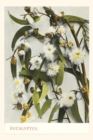 The Vintage Journal Eucalyptus Blossoms pocket journal features a trav - Book