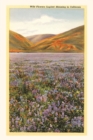 The Vintage Journal Wildflowers in California - Book