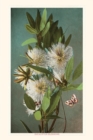 The Vintage Journal Eucalyptus Blossoms - Book