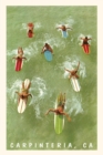 The Vintage Journal Colorful Surfers and Surf Boards in Green Water, Carpinteria - Book