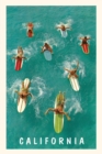 The Vintage Journal Aerial View of Surfers with Colorful Boards, California - Book