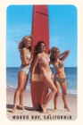 The Vintage Journal Sixties Surfer Girls, Morro Bay, California - Book