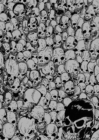 Gathering of Skulls Sketchbook - Grey - Book