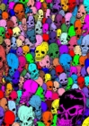 Gathering of Skulls Journal - Multicolor - Book