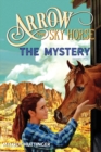 Arrow the Sky Horse : The Mystery - Book