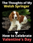 The Thoughts of My Welsh Springer : How to Celebrate Valentine's Day - Book