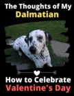 The Thoughts of My Dalmatian : How to Celebrate Valentine's Day - Book