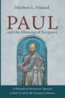 Paul and the Meaning of Scripture - Book