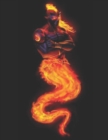 Fire Genie : Duty Crossroads - Book