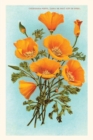 Vintage Journal California Poppies - Book