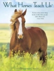 What Horses Teach Us 2018 Engagement Calendar - Book