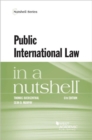 Public International Law in a Nutshell - Book