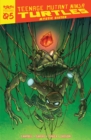 Teenage Mutant Ninja Turtles: Reborn, Vol. 5 - Mystic Sister - Book