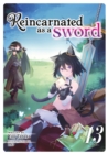 Reincarnated as a Sword (Light Novel) Vol. 13 - Book