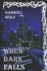 When Dark Falls - Book