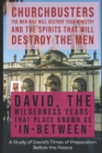 David : The Wilderness Years (That Place Known as "In-Between") - A Study of David's Times of Preparation Before the Palace - Book