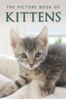 The Picture Book of Kittens : A Gift Book for Alzheimer's Patients or Seniors with Dementia - Book