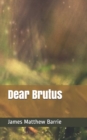 Dear Brutus - Book