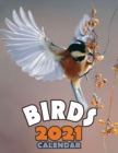 Birds 2021 Calendar - Book