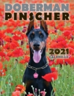 Doberman Pinscher 2021 Calendar - Book