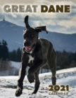 Great Dane 2021 Calendar - Book