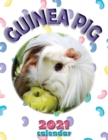 Guinea Pig 2021 Calendar - Book