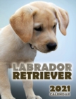 Labrador Retriever 2021 Calendar - Book
