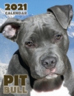 Pit Bull 2021 Calendar - Book