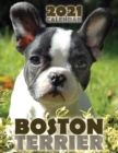 Boston Terrier 2021 Calendar - Book