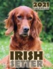 Irish Setter 2021 Calendar - Book