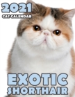 Exotic Shorthair 2021 Cat Calendar - Book