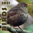 Birds 2021 Mini Wall Calendar - Book