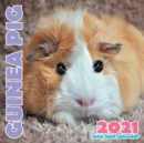 Guinea Pig 2021 Mini Wall Calendar - Book