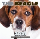 The Beagle 2021 Mini Wall Calendar - Book