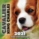 Cavalier King Charles 2021 Mini Wall Calendar - Book