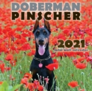 Doberman Pinscher 2021 Mini Wall Calendar - Book