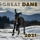 Great Dane 2021 Mini Wall Calendar - Book