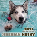 The Siberian Husky 2021 Mini Wall Calendar - Book