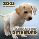 Labrador Retriever 2021 Mini Wall Calendar - Book