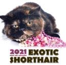 Exotic Shorthair 2021 Mini Cat Calendar - Book