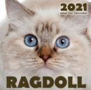 Ragdoll 2021 Mini Cat Calendar - Book