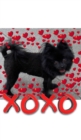 Valentine's all Love xoxo Pomeranian creative blank journal : Valentine's Love xoxo Pomeranian creative blank journal - Book