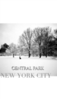 central park New York City Winter wonderland blank journal : central park New York City Winter wounderland blank journal - Book