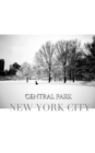 central park New York City Winter wonderland blank journal : central park New York City Winter wounderland blank journal - Book
